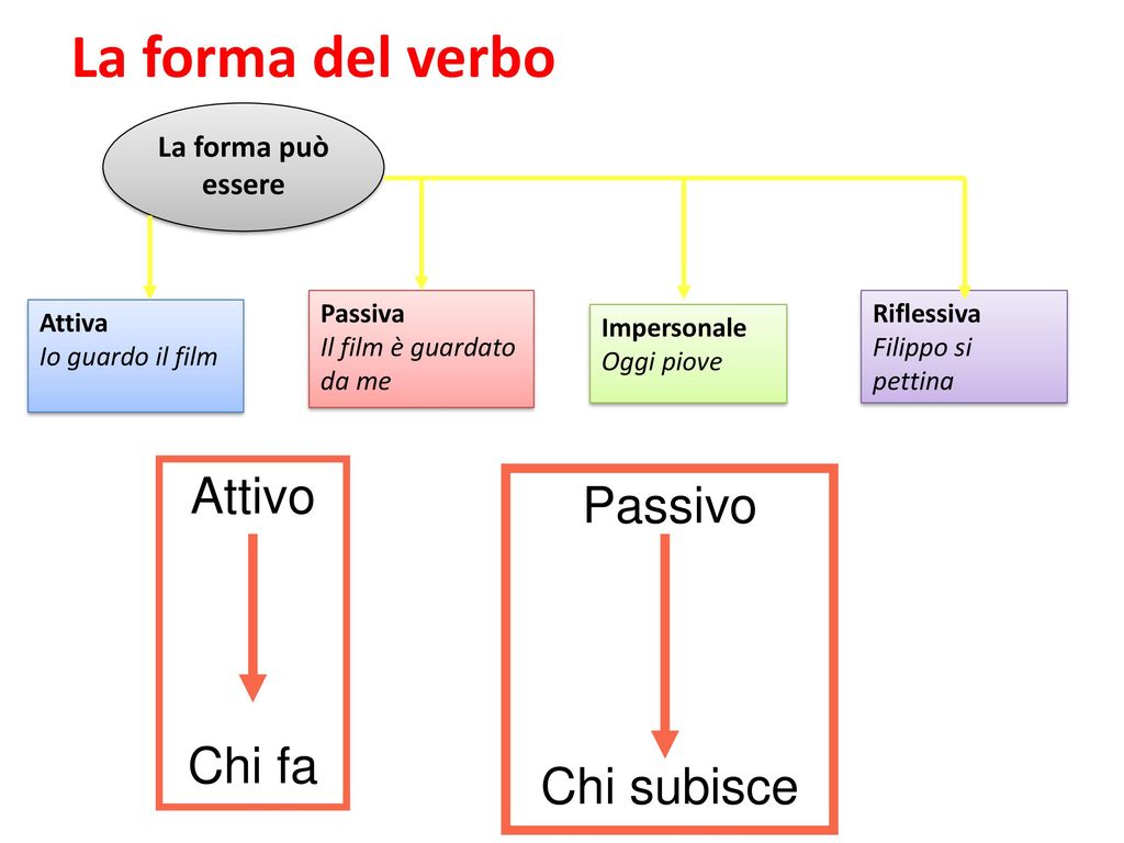 Forma Attiva Passiva E Riflessiva Duaonas